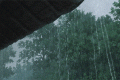 新一輪降雨，上線！縮略圖