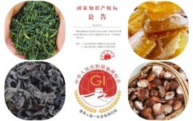 漢中新增多件國家地理標(biāo)志保護產(chǎn)品→縮略圖