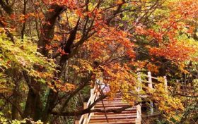 不等了！這個(gè)秋天，我就要去草川子~縮略圖