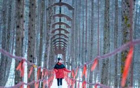 當(dāng)紫柏山開始“留白”，一幅冰瀑為骨的冬日畫卷正在醞釀…縮略圖