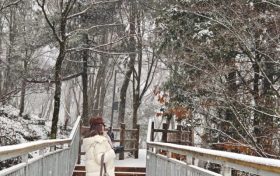 漢中又下雪了，太美了~縮略圖