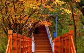 周末天氣如何？陜西最新天氣預(yù)報(bào)→縮略圖