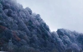 本輪寒潮將持續(xù)多久？何時(shí)能夠回暖？縮略圖