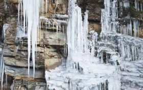 讓你在朋友圈妥妥“C位出道”，快來瞧瞧冬日草川子有多好玩！縮略圖