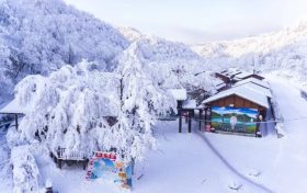 滑雪場(chǎng)+索道恢復(fù)運(yùn)營(yíng)！快去漢江源賞雪啦縮略圖