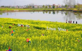 觀花必看！漢中最新天氣預(yù)報→縮略圖